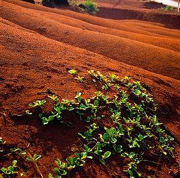 消息人士：《龙腾世纪：恐狼》本周或发布新消息